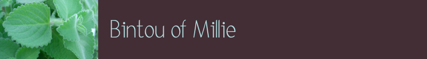 Bintou of Millie