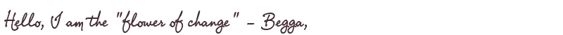 Welcome to Begga