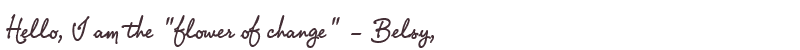 Welcome to Belsy