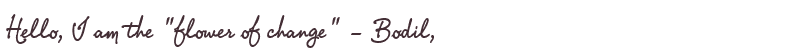 Welcome to Bodil