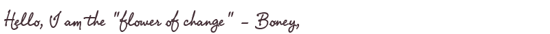 Welcome to Boney