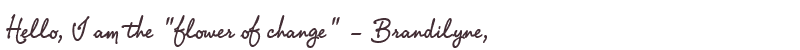 Welcome to Brandilyne