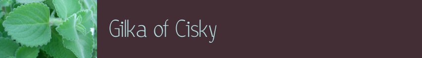 Gilka of Cisky