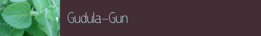 Gudula-Gun