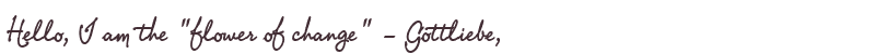 Welcome to Gottliebe