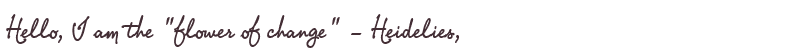 Welcome to Heidelies