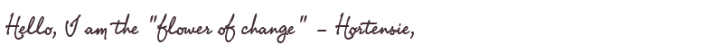 Welcome to Hortensie