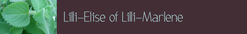 Lilli-Elise of Lilli-Marlene