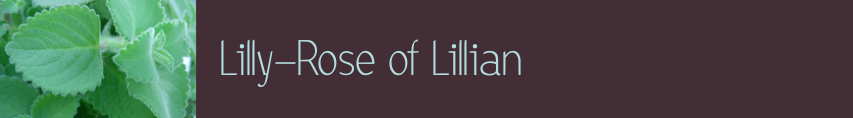 Lilly-Rose of Lillian