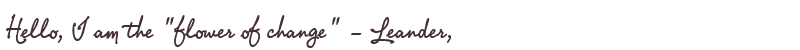 Greetings from Leander