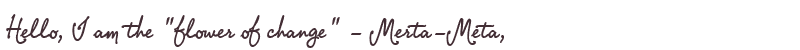 Welcome to Merta-Meta