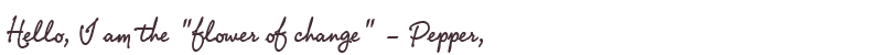 Welcome to Pepper