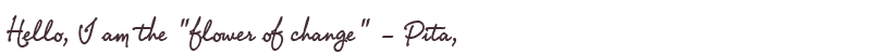 Welcome to Pita