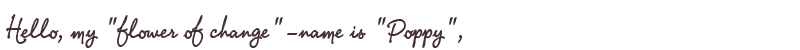 Welcome to Poppy