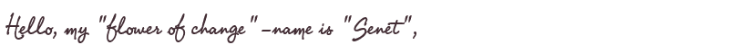 Welcome to Senet