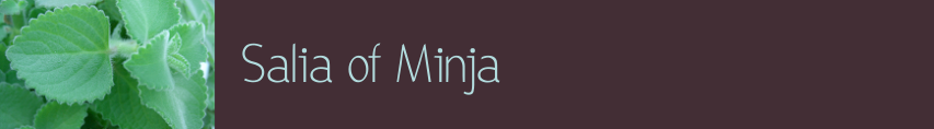 Salia of Minja