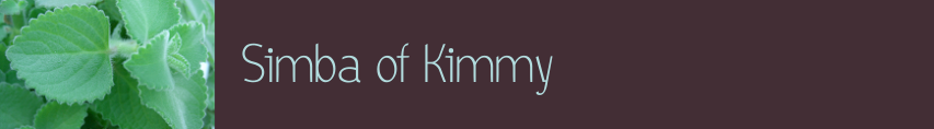 Simba of Kimmy