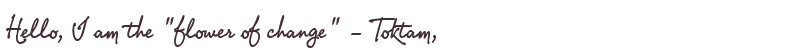 Welcome to Toktam
