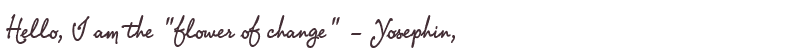 Welcome to Yosephin