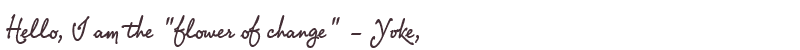 Greetings from Yvke